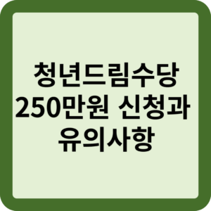 청년드림수당 신청과 유의사항